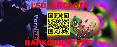 СК Рыбинск