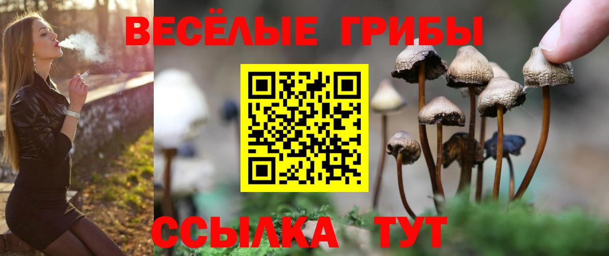 Галлюциногенные грибы ЛСД  Вход с VPN  Санкт-Петербург 