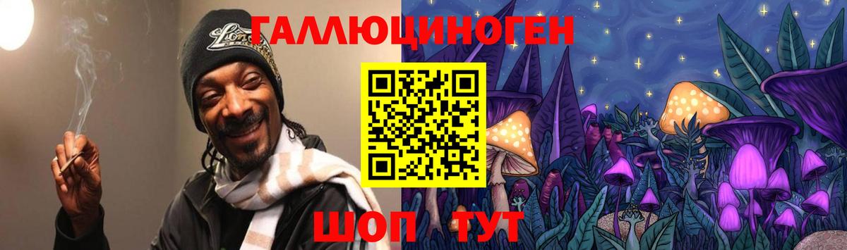 Галлюциногенные грибы Psilocybine cubensis Санкт-Петербург